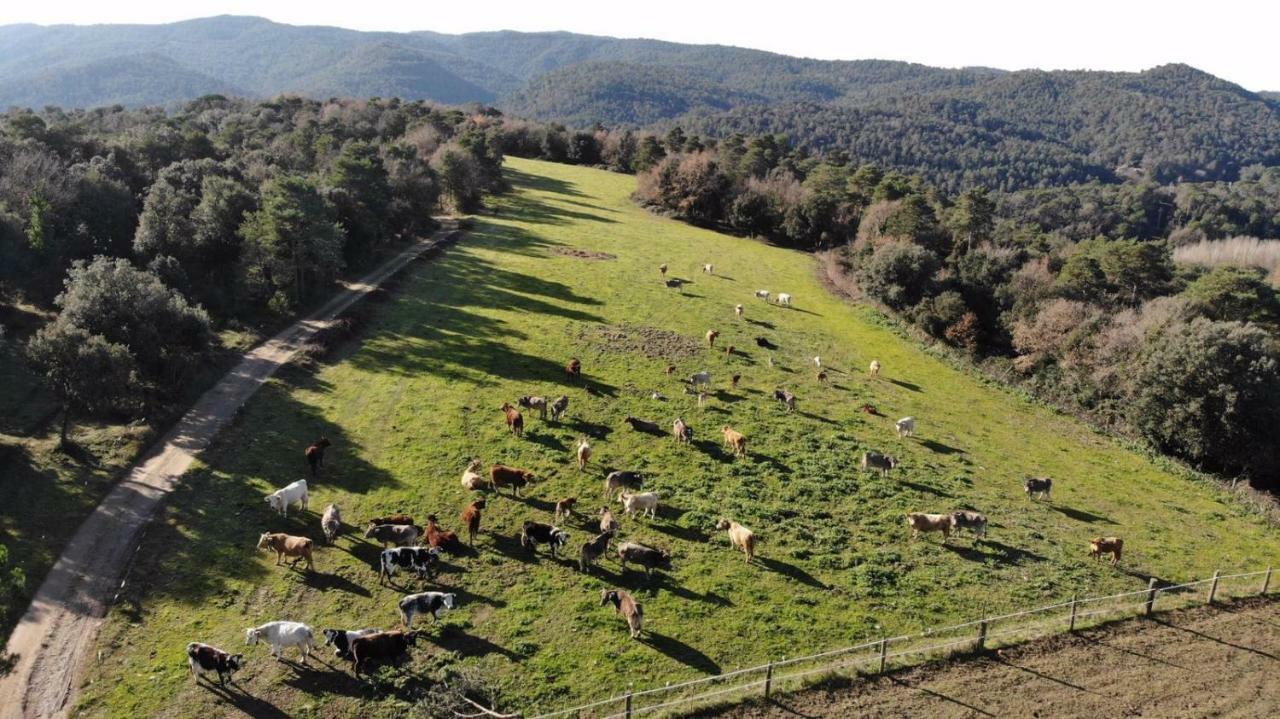 Brugarolas Village Castelltercol Kültér fotó